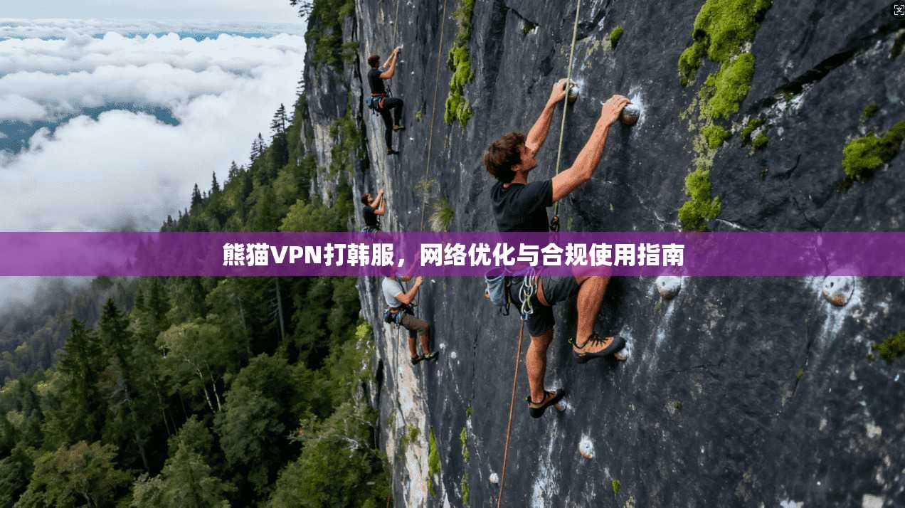 熊猫VPN打韩服，网络优化与合规使用指南