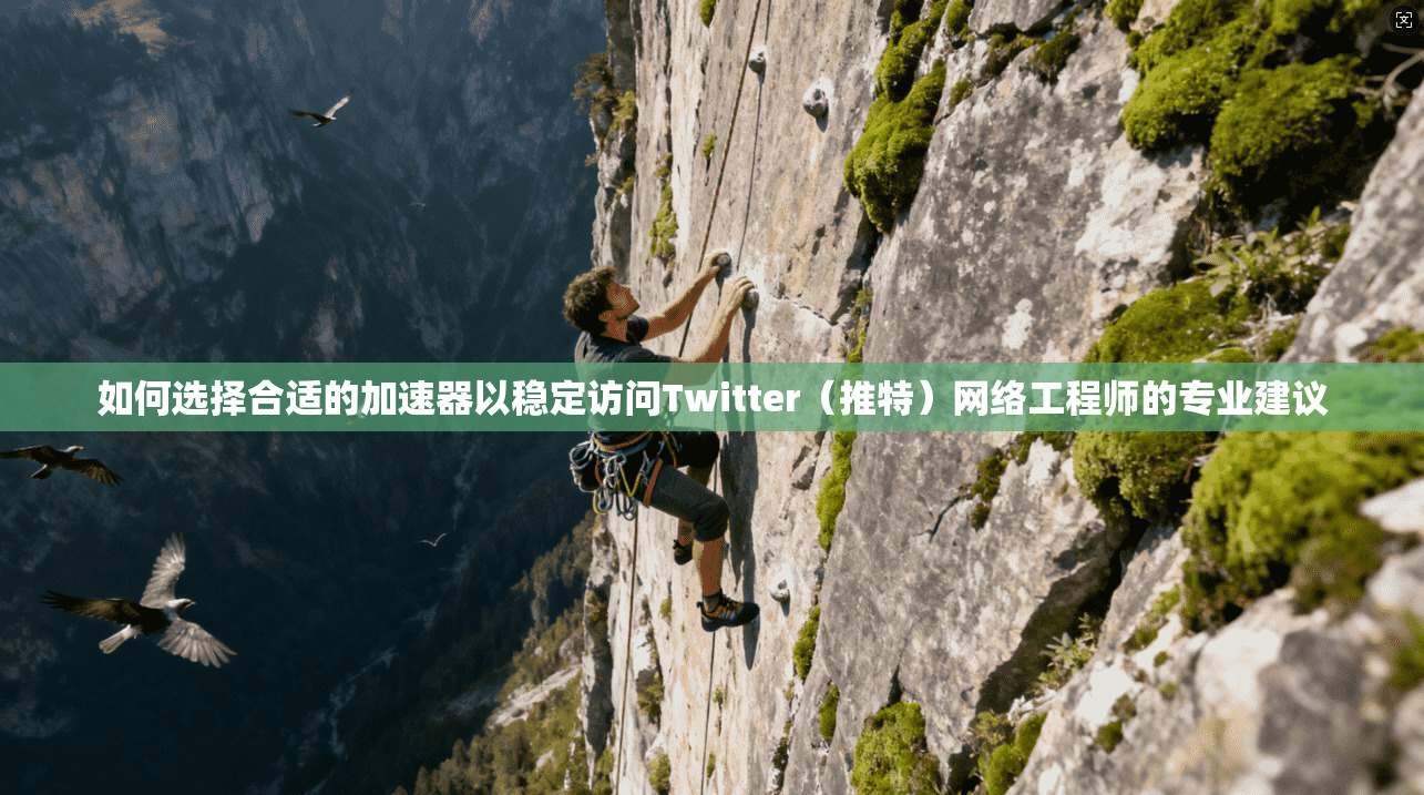 如何选择合适的加速器以稳定访问Twitter（推特）网络工程师的专业建议