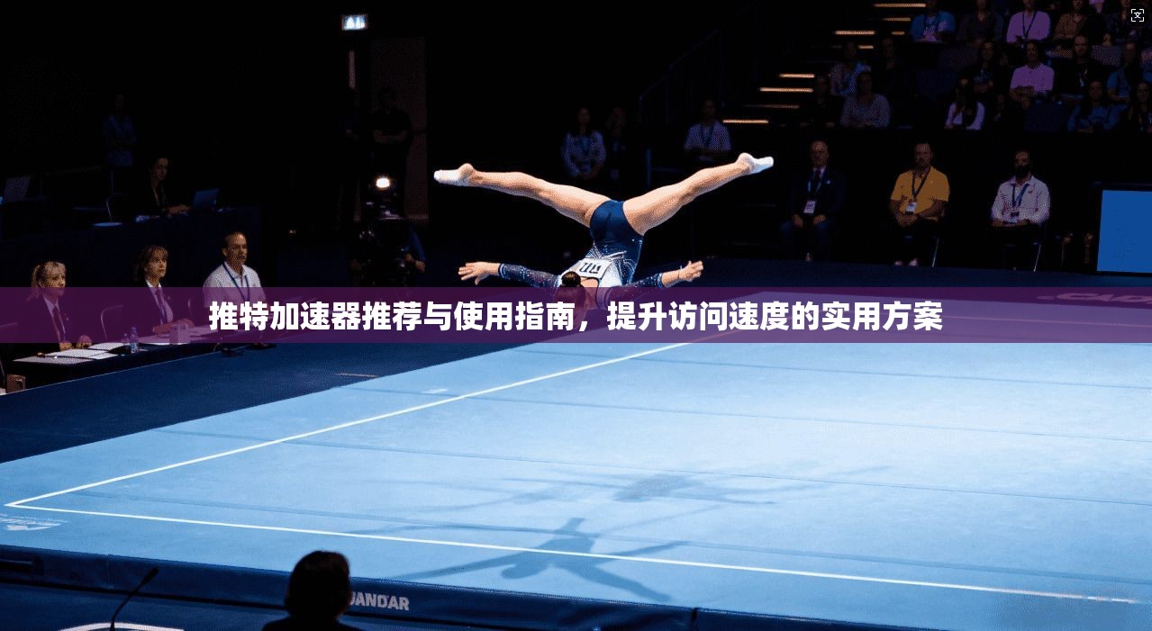推特加速器推荐与使用指南，提升访问速度的实用方案