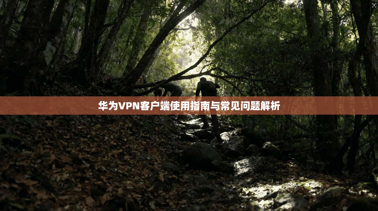 华为VPN客户端使用指南与常见问题解析
