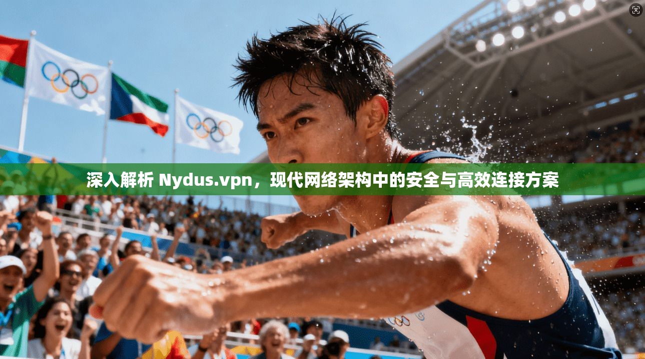 深入解析 Nydus.vpn，现代网络架构中的安全与高效连接方案