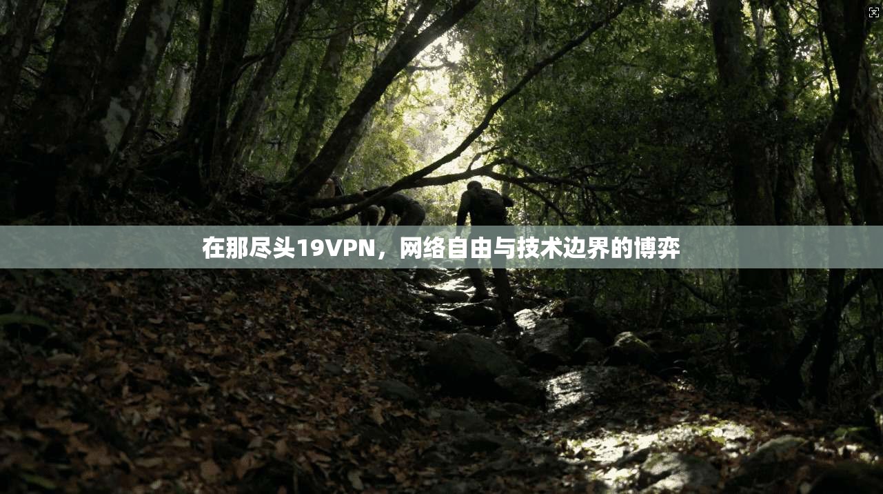 在那尽头19VPN，网络自由与技术边界的博弈