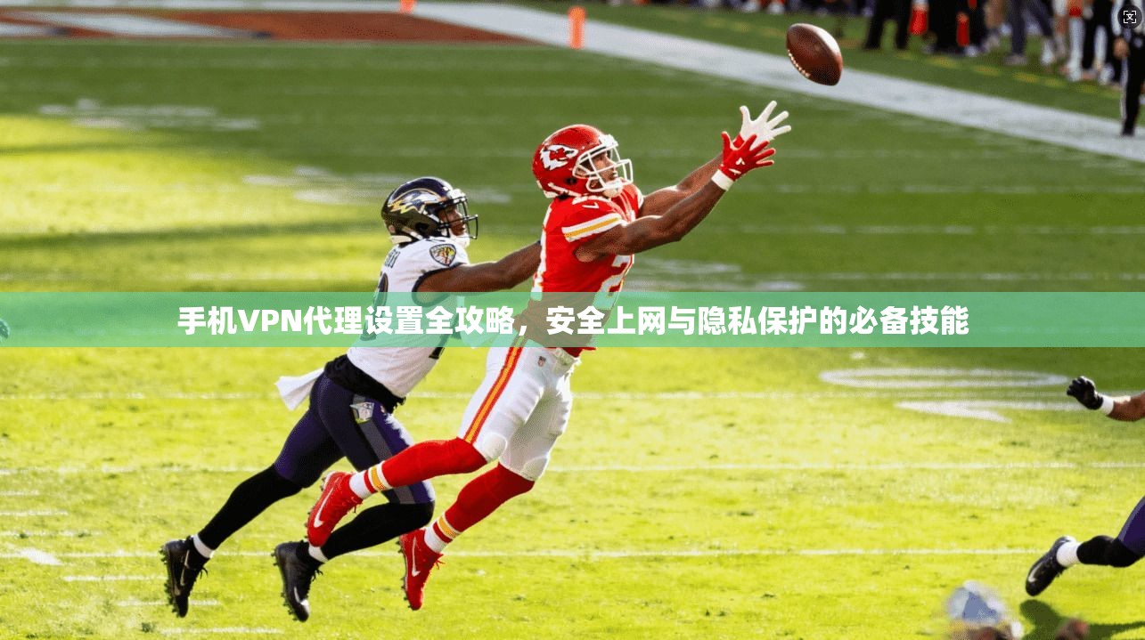 手机VPN代理设置全攻略，安全上网与隐私保护的必备技能