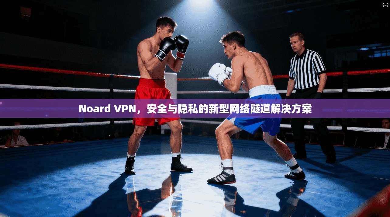 Noard VPN，安全与隐私的新型网络隧道解决方案