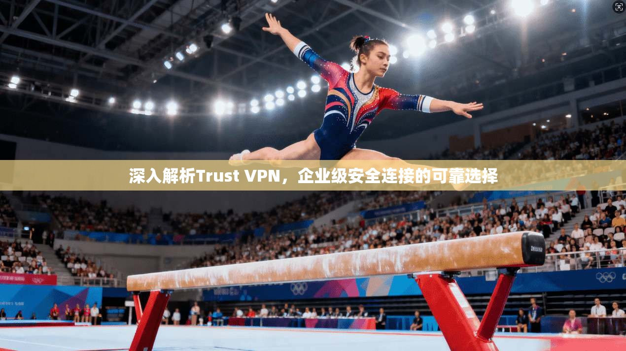 深入解析Trust VPN，企业级安全连接的可靠选择