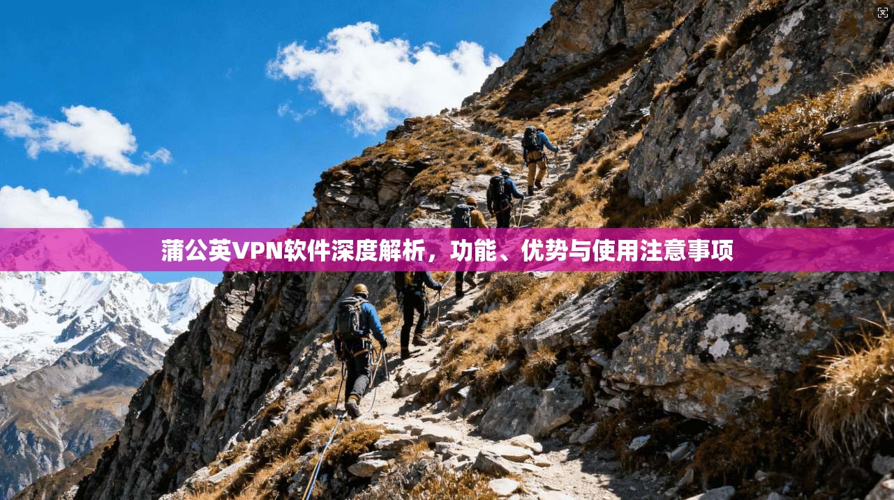 蒲公英VPN软件深度解析，功能、优势与使用注意事项