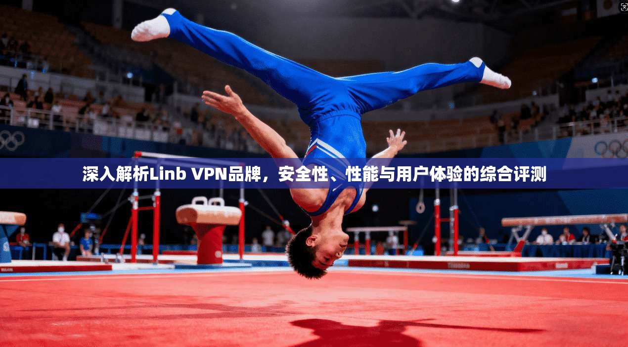 深入解析Linb VPN品牌，安全性、性能与用户体验的综合评测