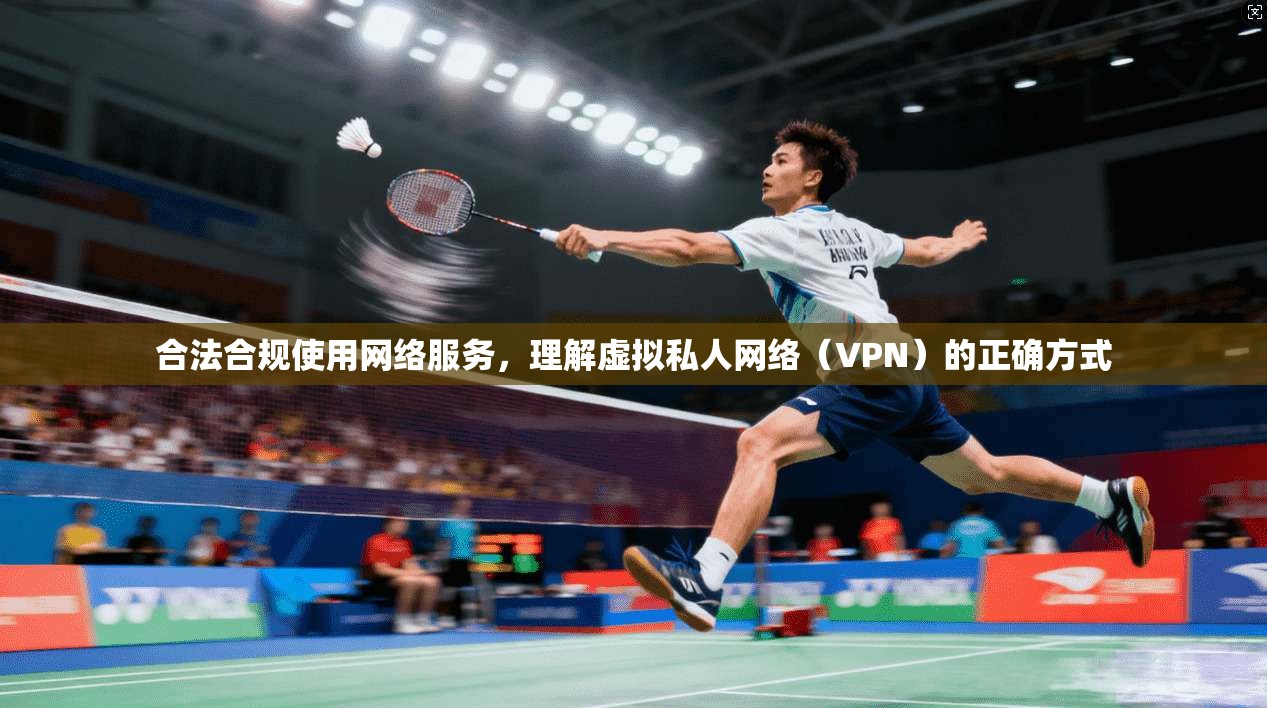 合法合规使用网络服务，理解虚拟私人网络（VPN）的正确方式