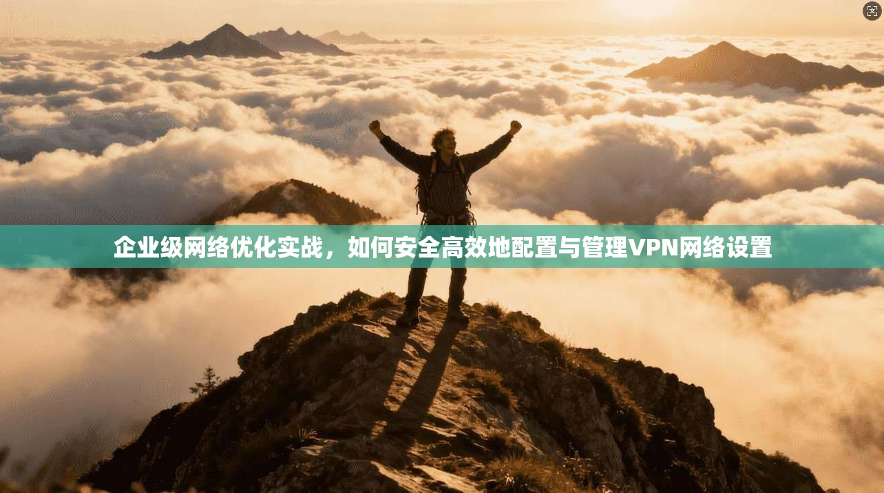 企业级网络优化实战，如何安全高效地配置与管理VPN网络设置