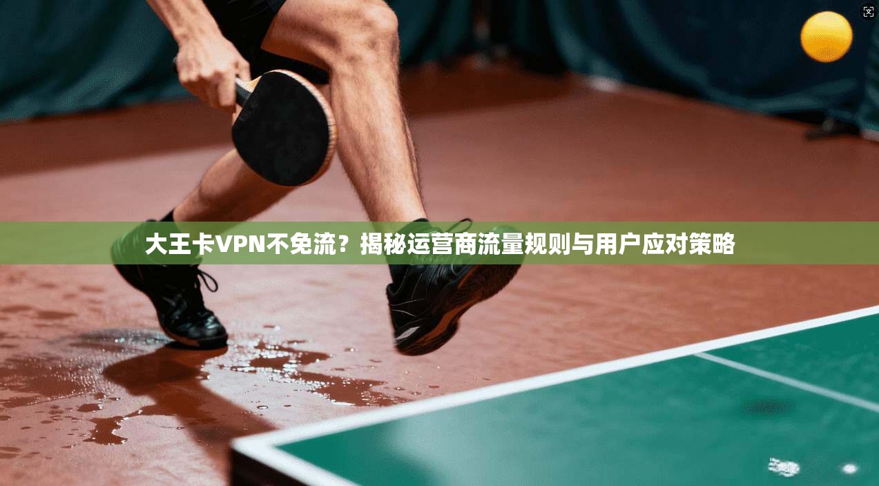 大王卡VPN不免流？揭秘运营商流量规则与用户应对策略