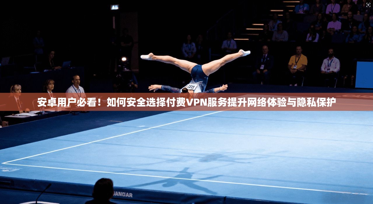 安卓用户必看！如何安全选择付费VPN服务提升网络体验与隐私保护