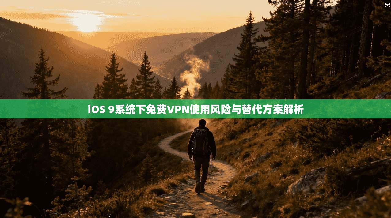 iOS 9系统下免费VPN使用风险与替代方案解析