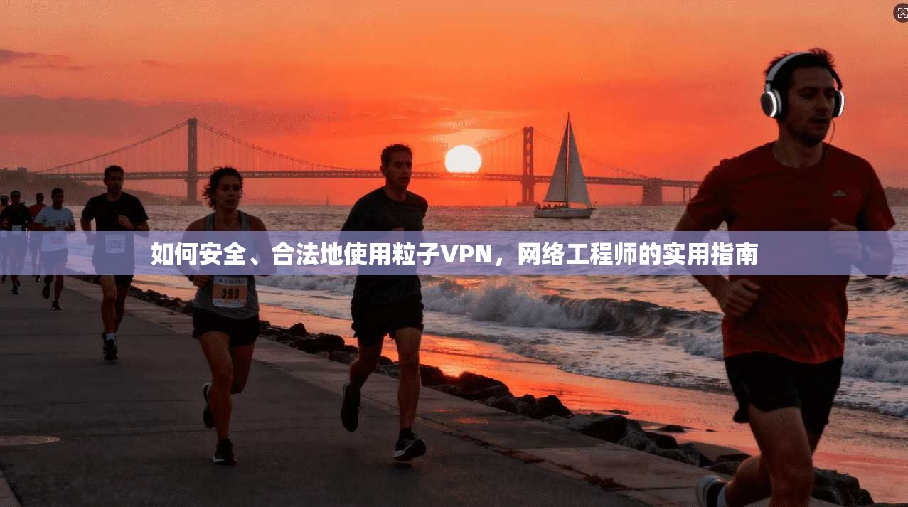 如何安全、合法地使用粒子VPN，网络工程师的实用指南