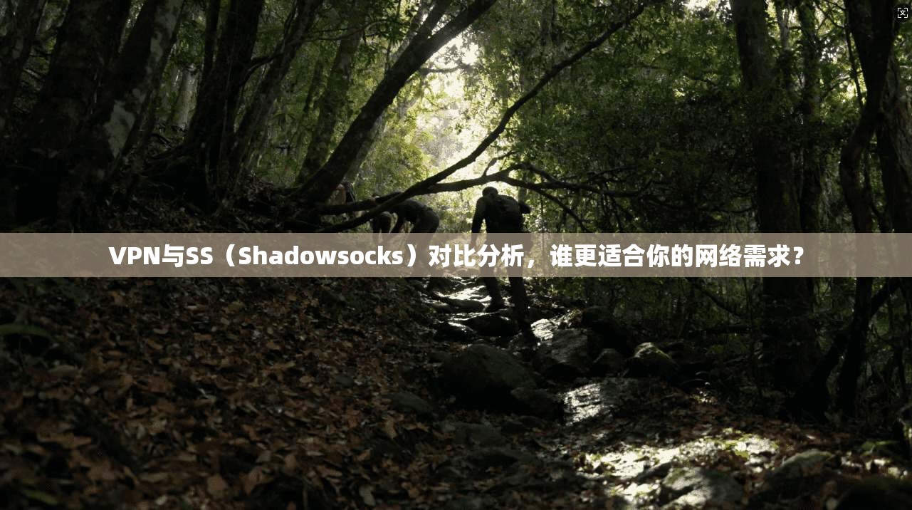 VPN与SS（Shadowsocks）对比分析，谁更适合你的网络需求？