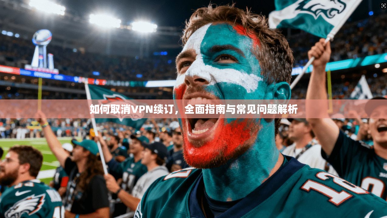 如何取消VPN续订，全面指南与常见问题解析