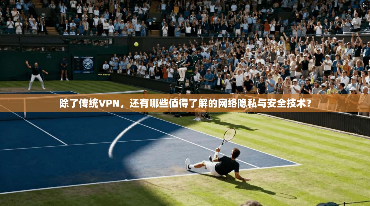 除了传统VPN，还有哪些值得了解的网络隐私与安全技术？