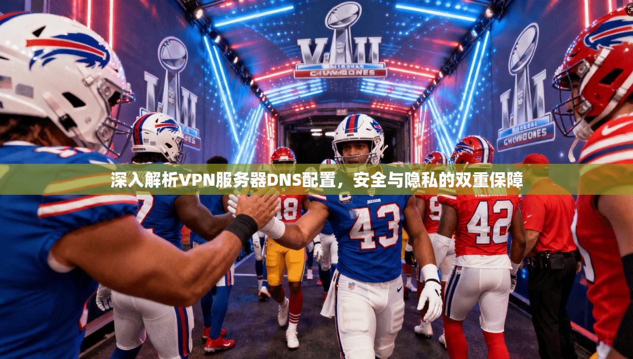 深入解析VPN服务器DNS配置，安全与隐私的双重保障