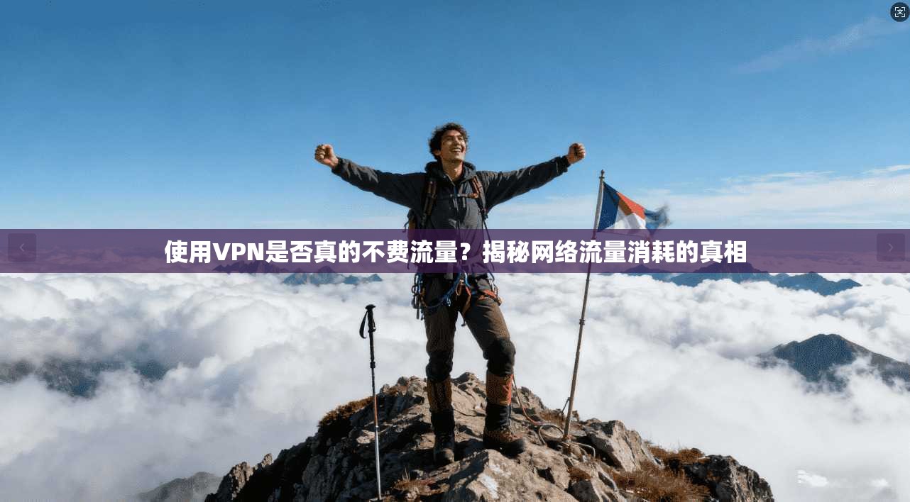 使用VPN是否真的不费流量？揭秘网络流量消耗的真相
