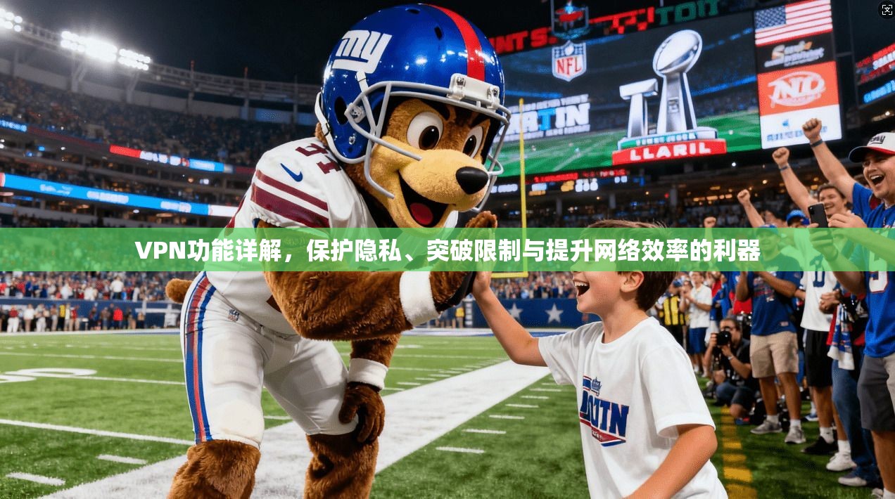 VPN功能详解，保护隐私、突破限制与提升网络效率的利器
