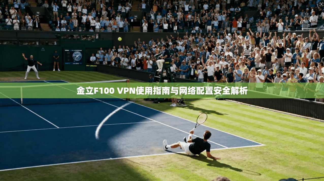 金立F100 VPN使用指南与网络配置安全解析