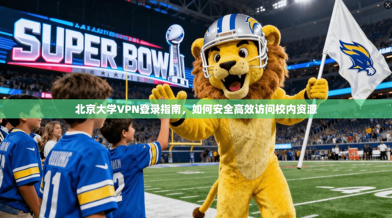 北京大学VPN登录指南，如何安全高效访问校内资源