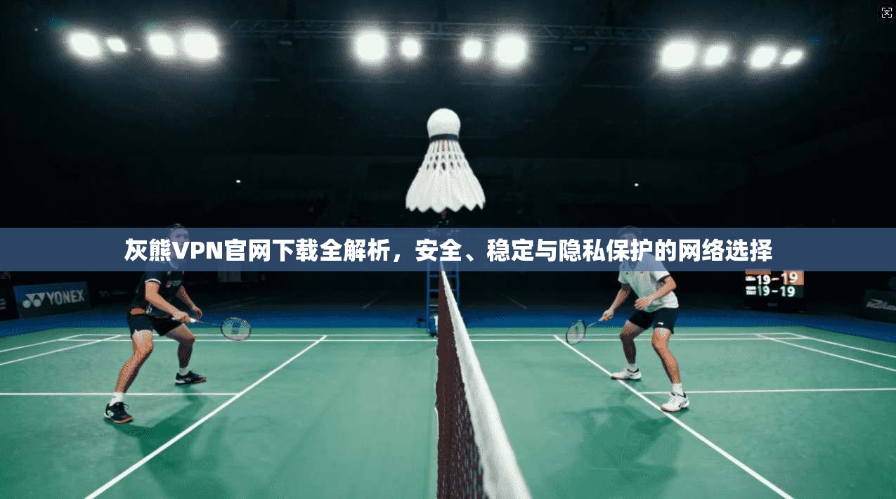 灰熊VPN官网下载全解析，安全、稳定与隐私保护的网络选择