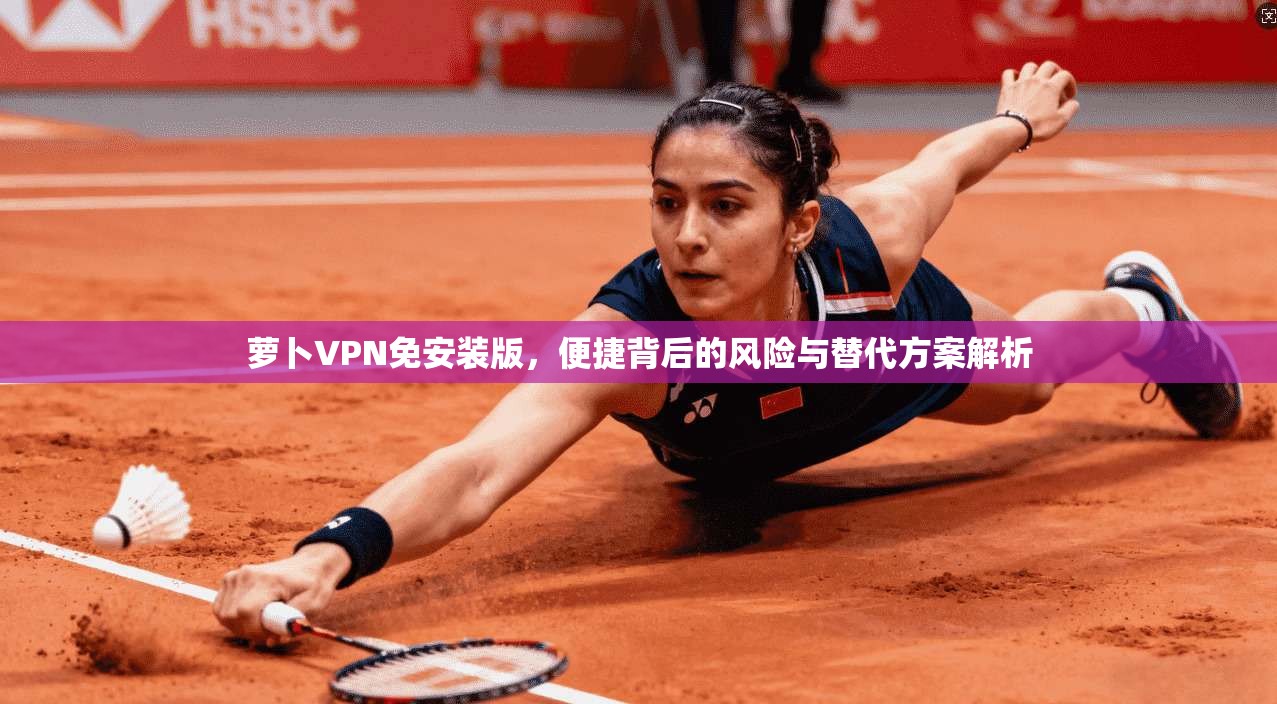 萝卜VPN免安装版，便捷背后的风险与替代方案解析