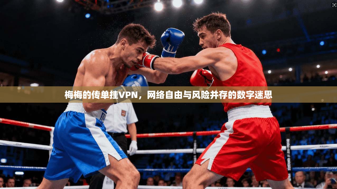 梅梅的传单挂VPN，网络自由与风险并存的数字迷思