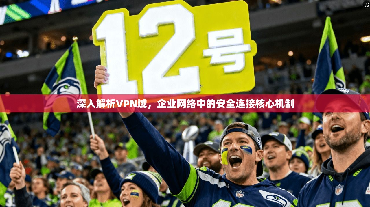 深入解析VPN域，企业网络中的安全连接核心机制