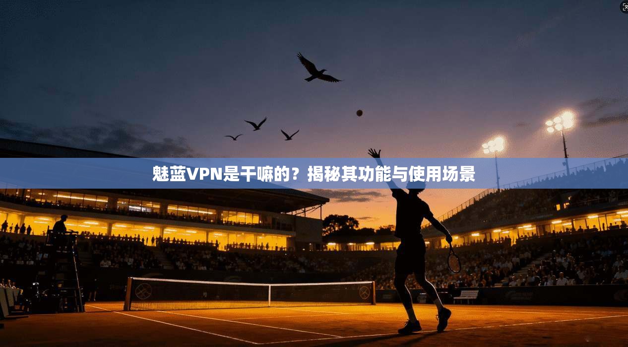 魅蓝VPN是干嘛的？揭秘其功能与使用场景