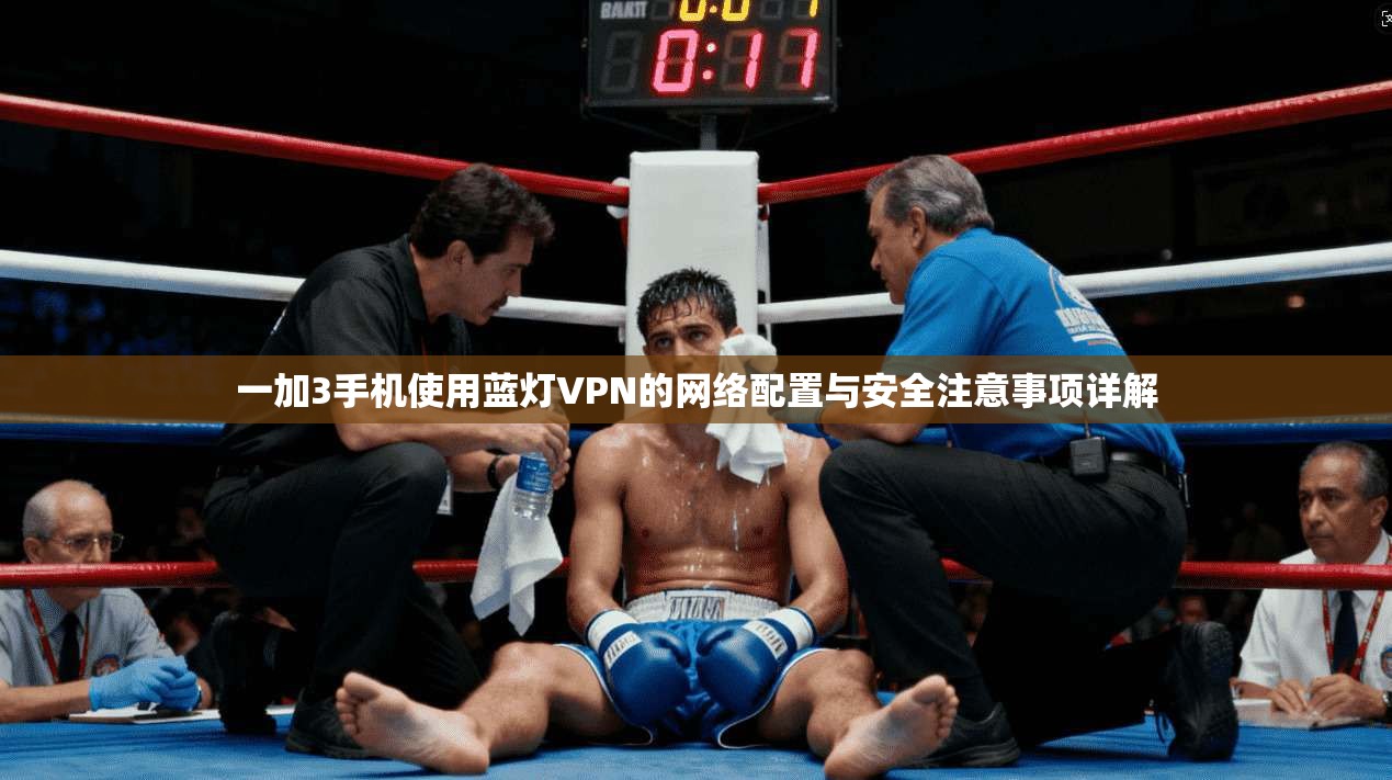一加3手机使用蓝灯VPN的网络配置与安全注意事项详解