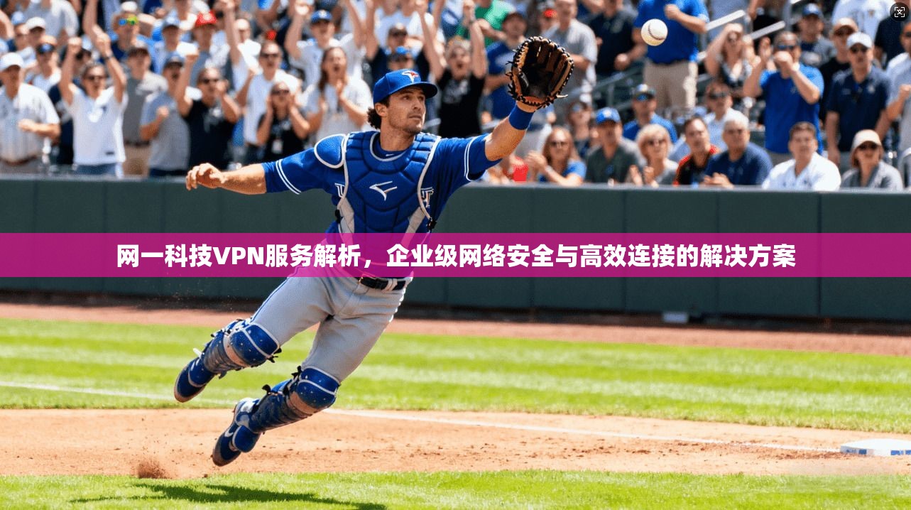 网一科技VPN服务解析，企业级网络安全与高效连接的解决方案