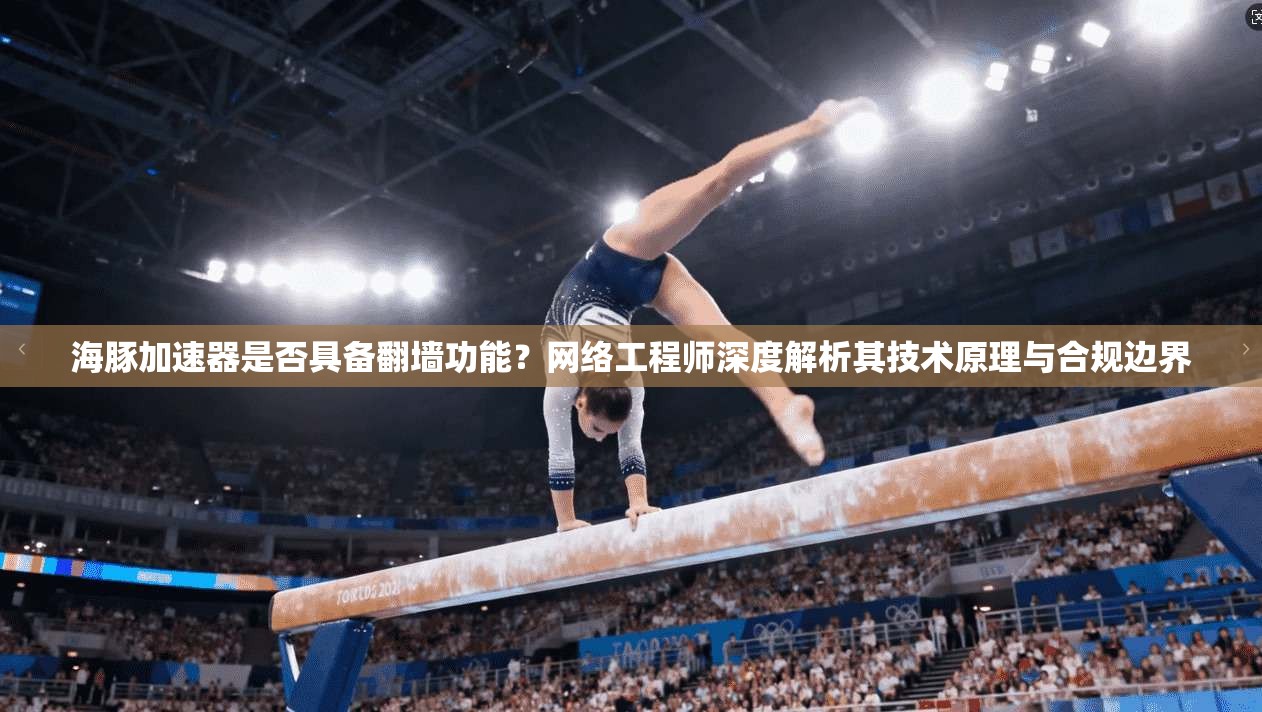 海豚加速器是否具备翻墙功能？网络工程师深度解析其技术原理与合规边界