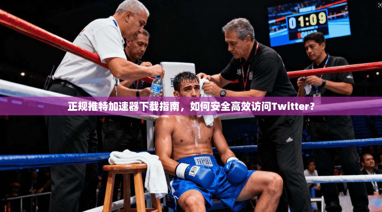 正规推特加速器下载指南，如何安全高效访问Twitter？