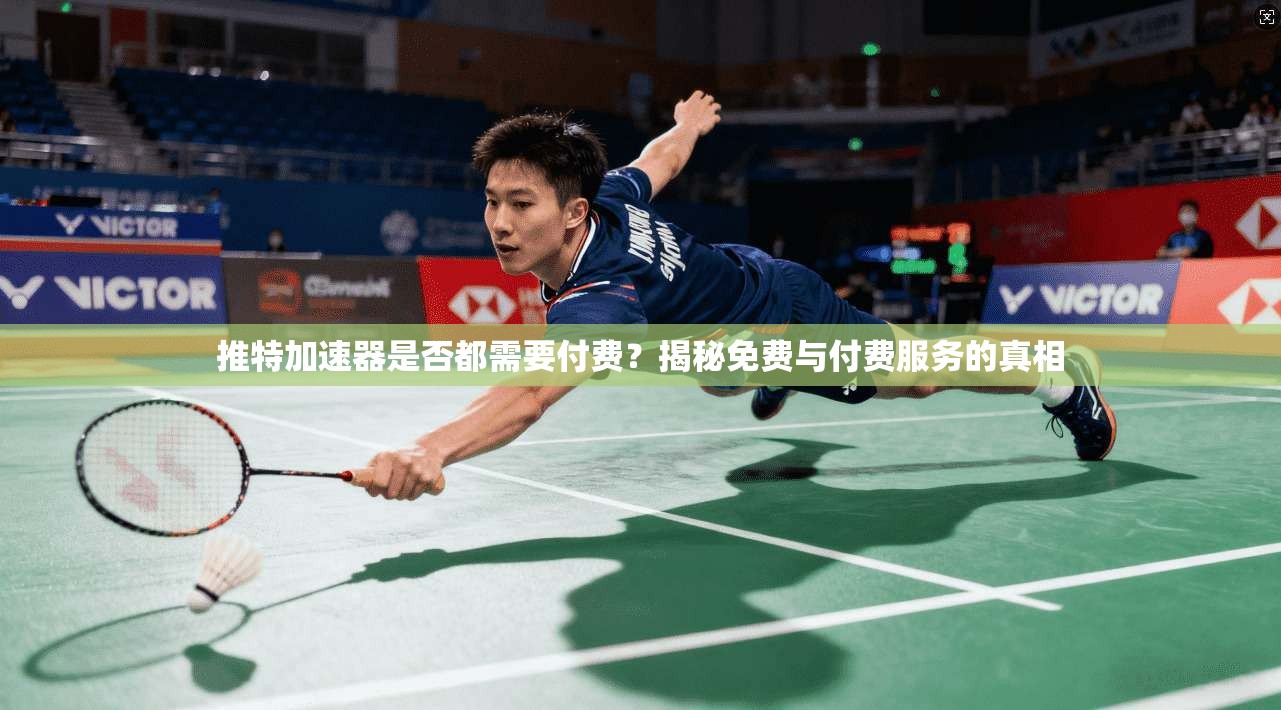 推特加速器是否都需要付费？揭秘免费与付费服务的真相