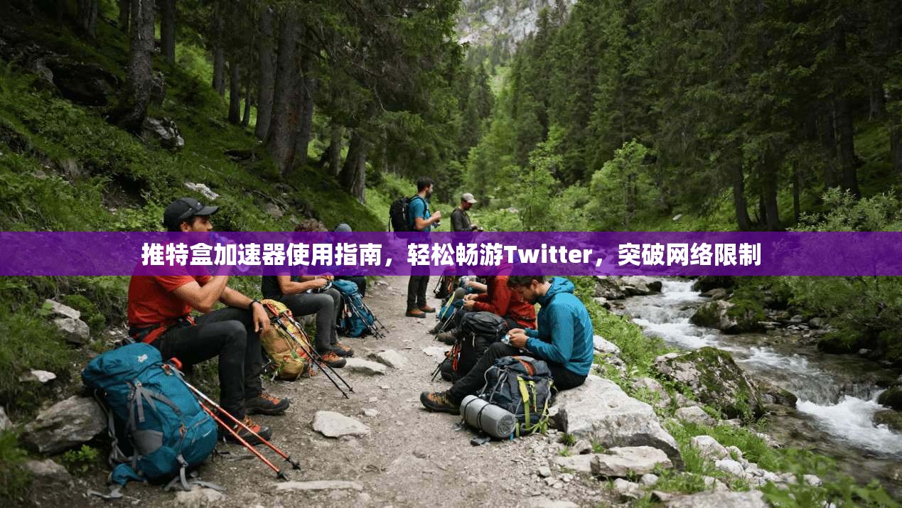 推特盒加速器使用指南，轻松畅游Twitter，突破网络限制