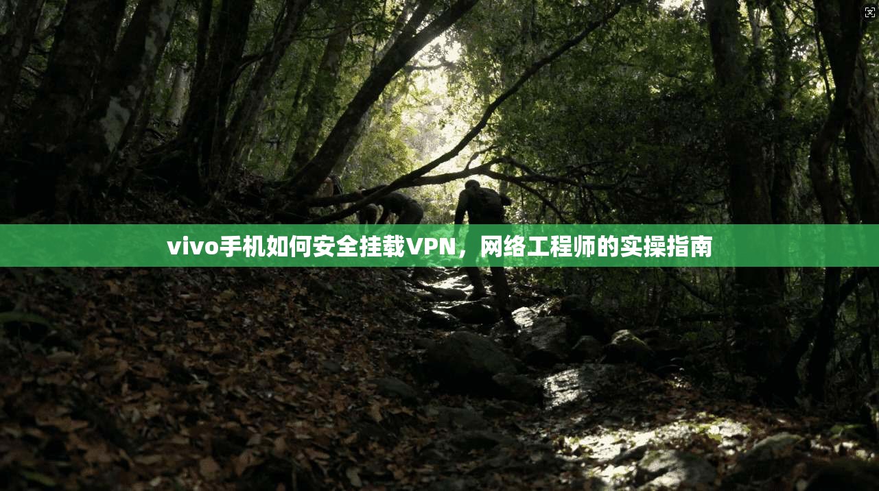 vivo手机如何安全挂载VPN，网络工程师的实操指南
