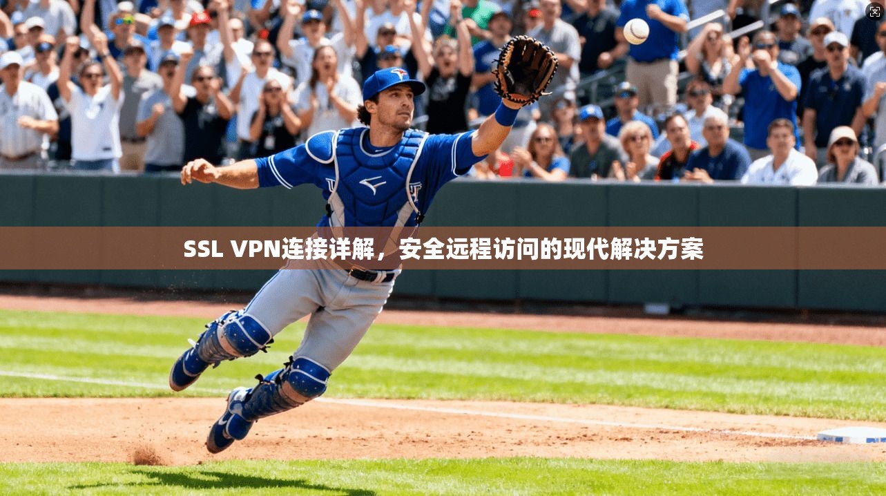 SSL VPN连接详解，安全远程访问的现代解决方案
