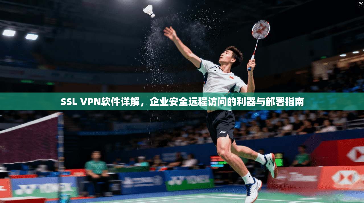 SSL VPN软件详解，企业安全远程访问的利器与部署指南