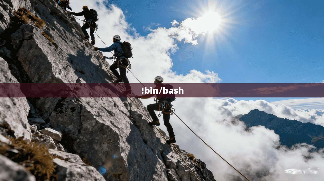 !bin/bash