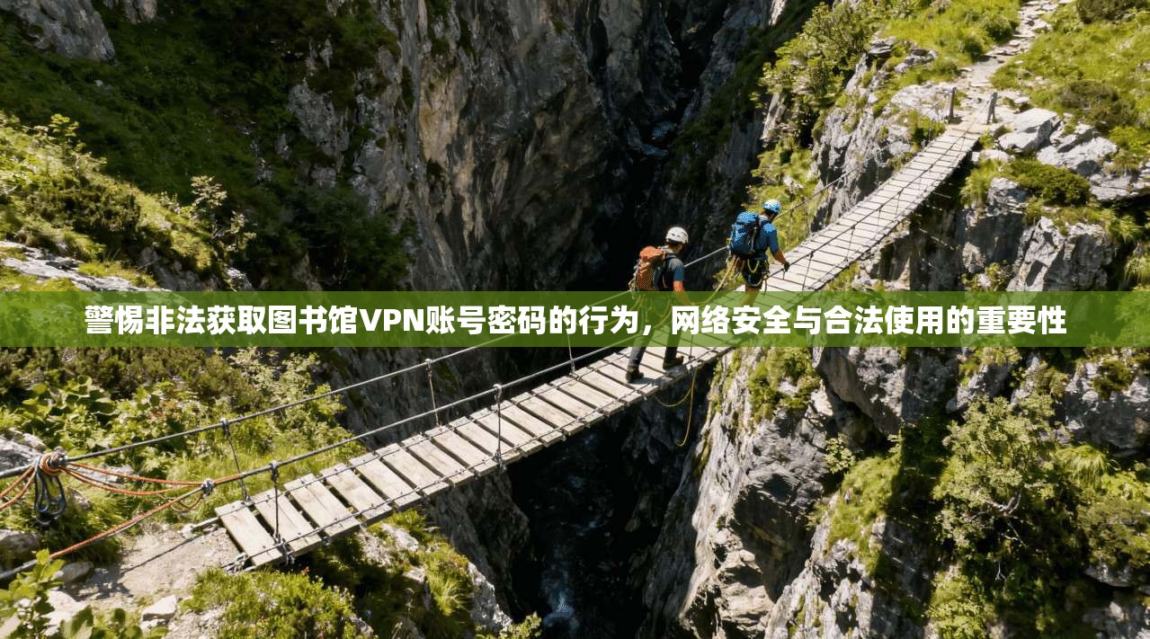 警惕非法获取图书馆VPN账号密码的行为，网络安全与合法使用的重要性