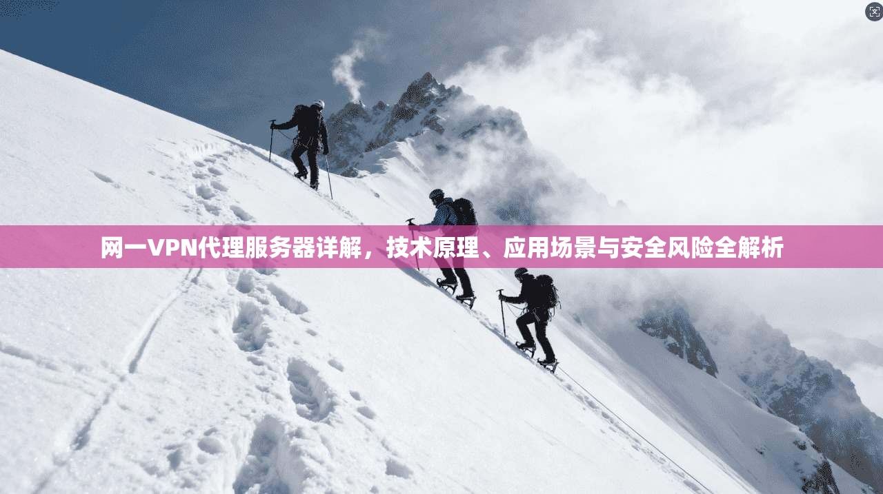 网一VPN代理服务器详解，技术原理、应用场景与安全风险全解析