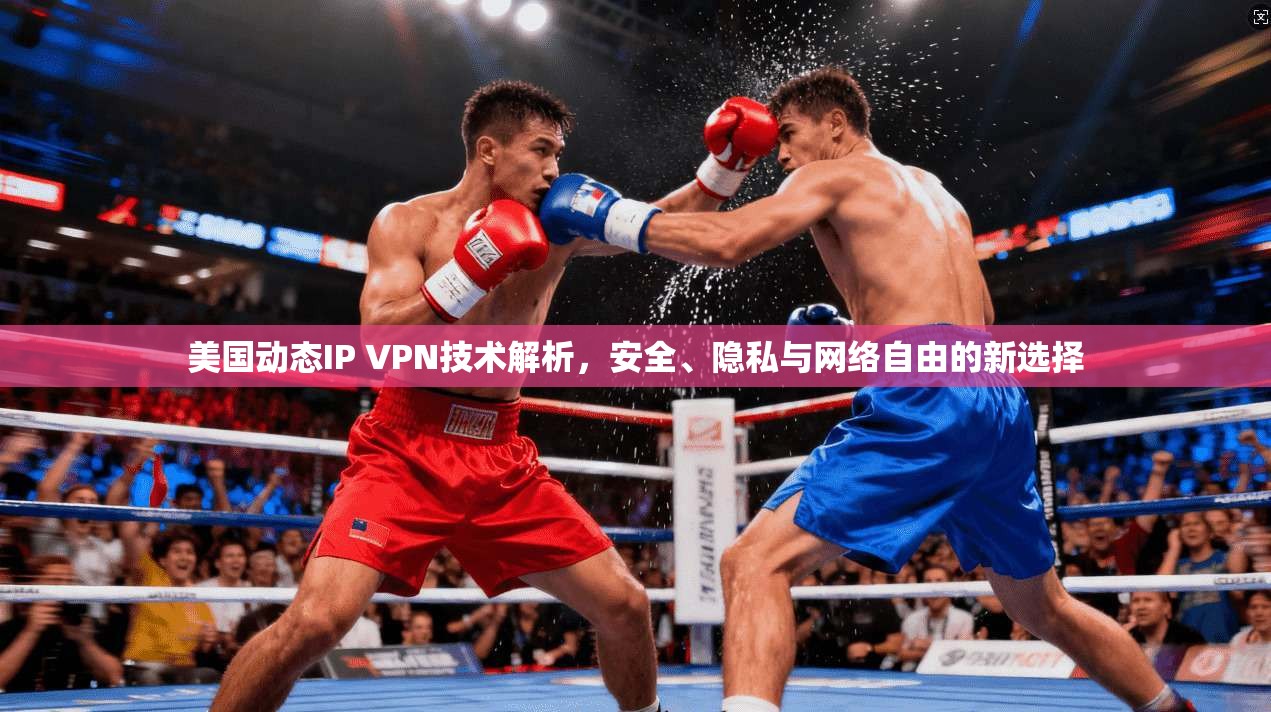 美国动态IP VPN技术解析，安全、隐私与网络自由的新选择
