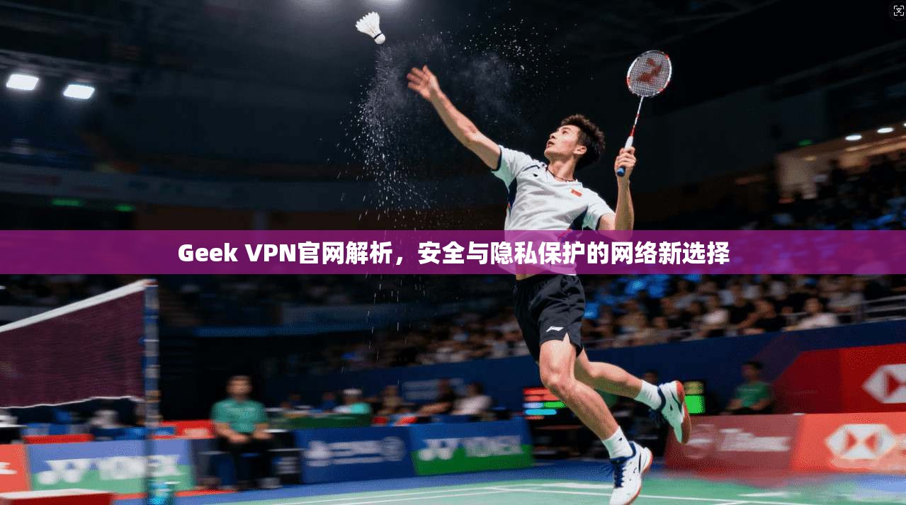 Geek VPN官网解析，安全与隐私保护的网络新选择