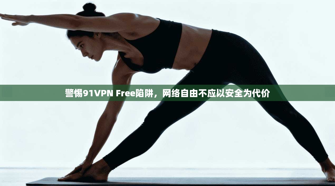 警惕91VPN Free陷阱，网络自由不应以安全为代价