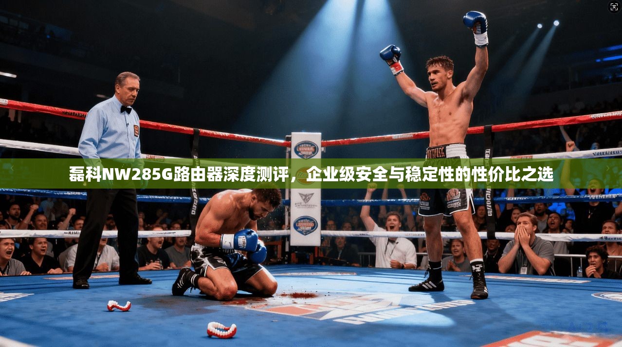 磊科NW285G路由器深度测评，企业级安全与稳定性的性价比之选