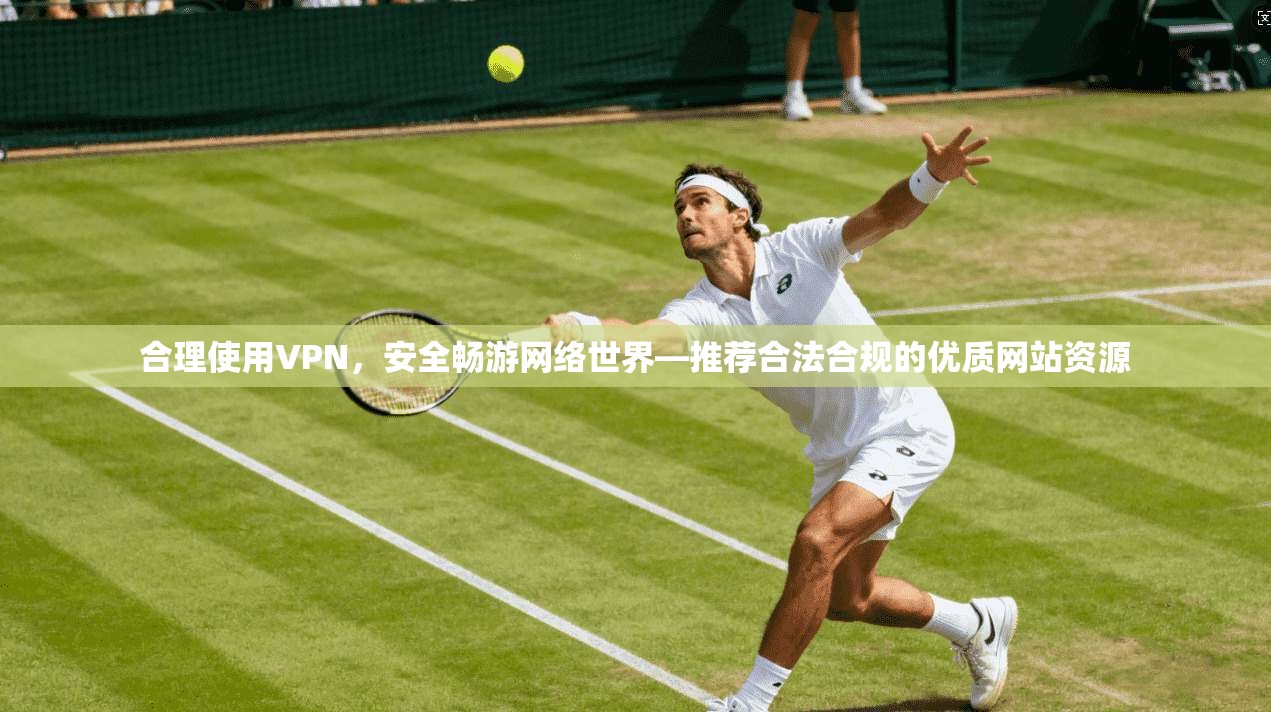 合理使用VPN，安全畅游网络世界—推荐合法合规的优质网站资源