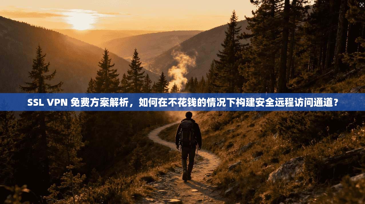 SSL VPN 免费方案解析，如何在不花钱的情况下构建安全远程访问通道？