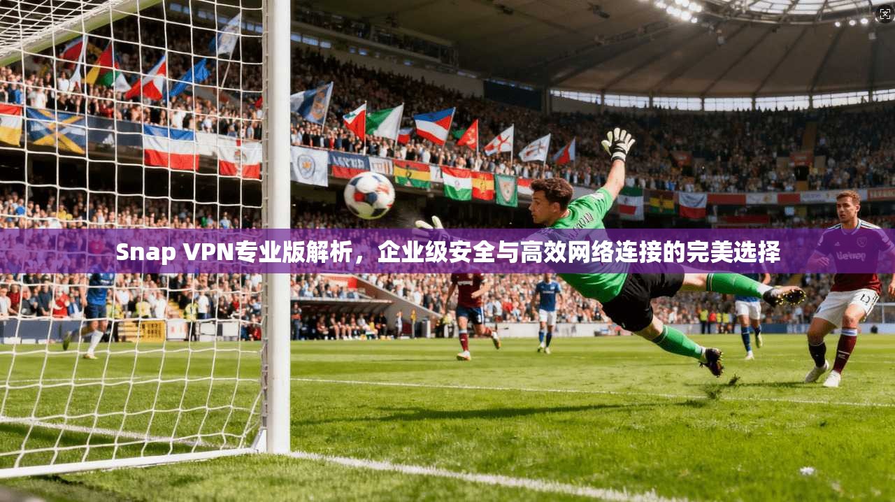 Snap VPN专业版解析，企业级安全与高效网络连接的完美选择