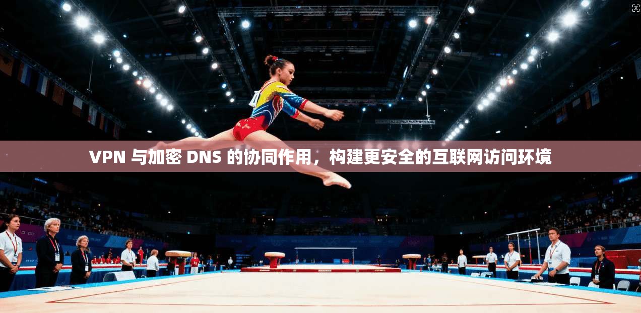 VPN 与加密 DNS 的协同作用，构建更安全的互联网访问环境